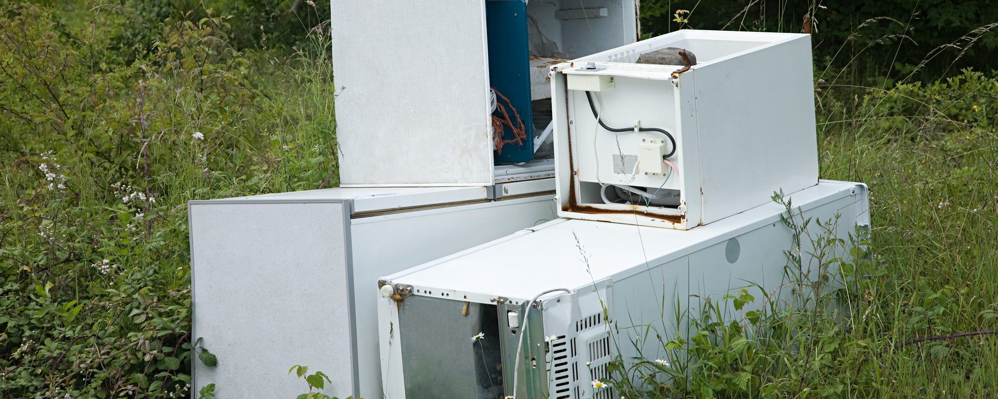 Hackers are gorging themselves in your refrigerator
