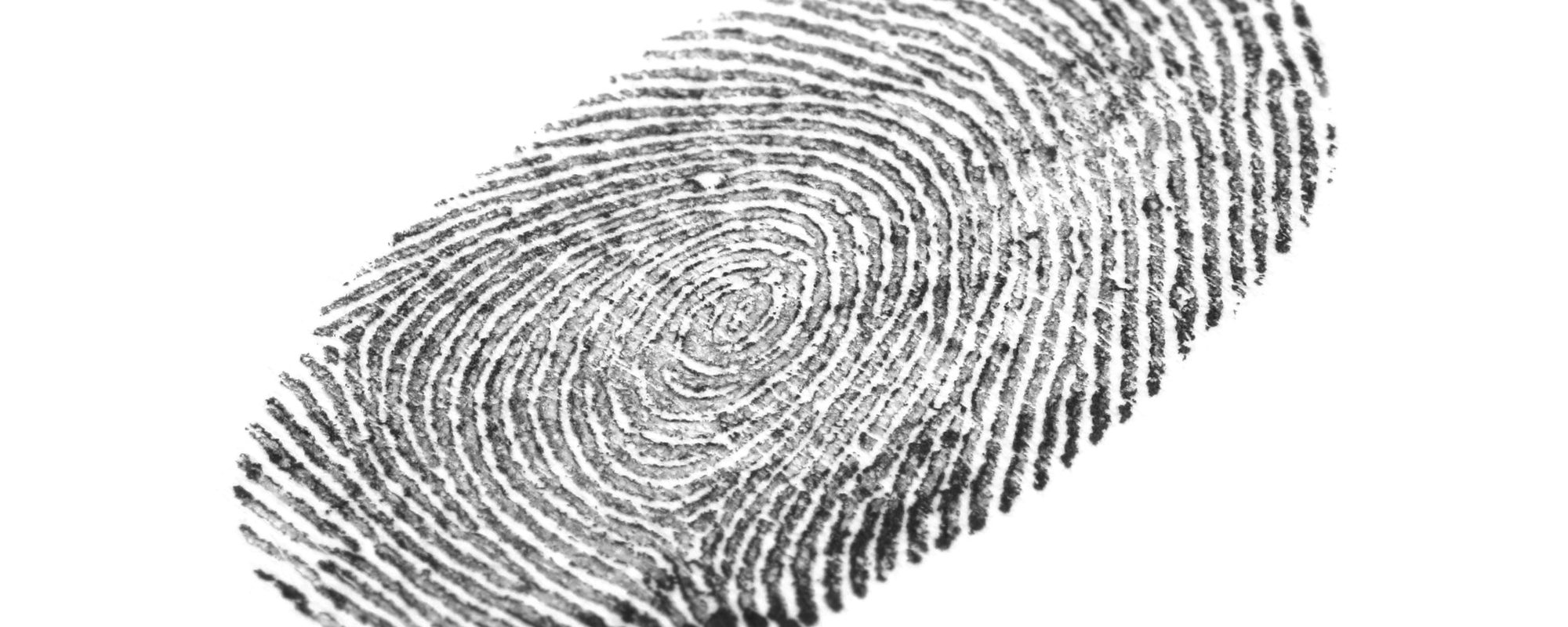 Hackers are scrounging for your “device fingerprints?”