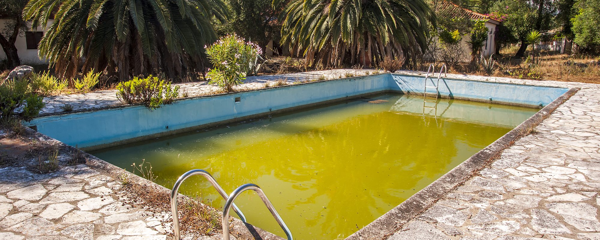 Family of five survives on food growing in abandoned pool