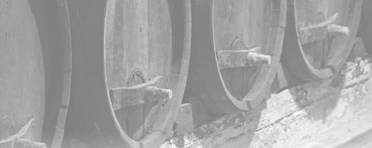 Mises Can Save the World