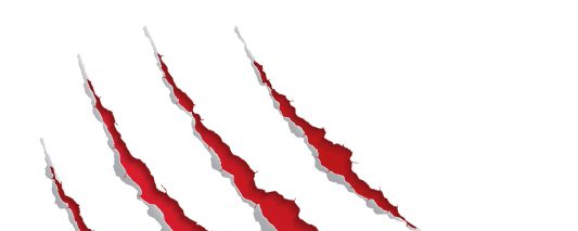 Olympics and Economics: Why the Double Standard?