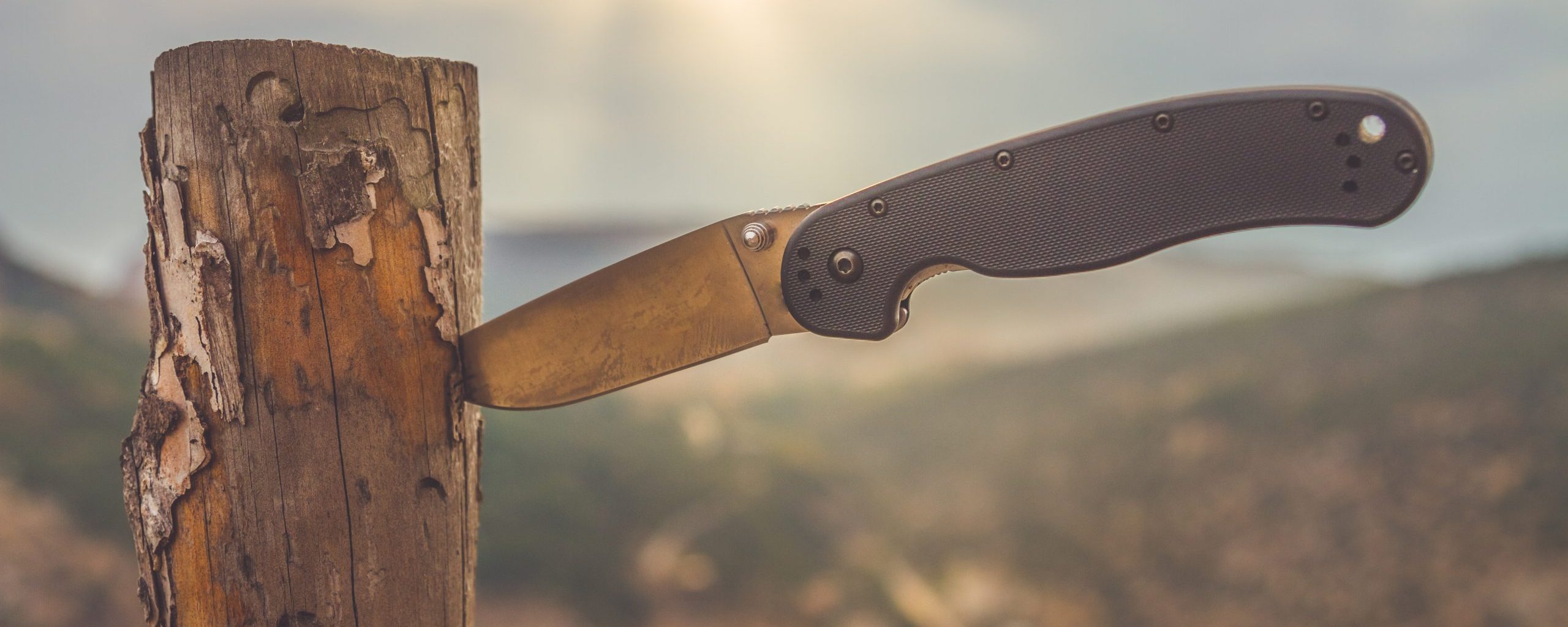 Should you choose serrated or straight edged blades?