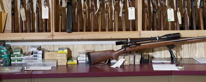 My New Favorite Gun