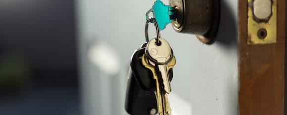 The One Button Solution: How Max and I Were Able to Accomplish an Operation