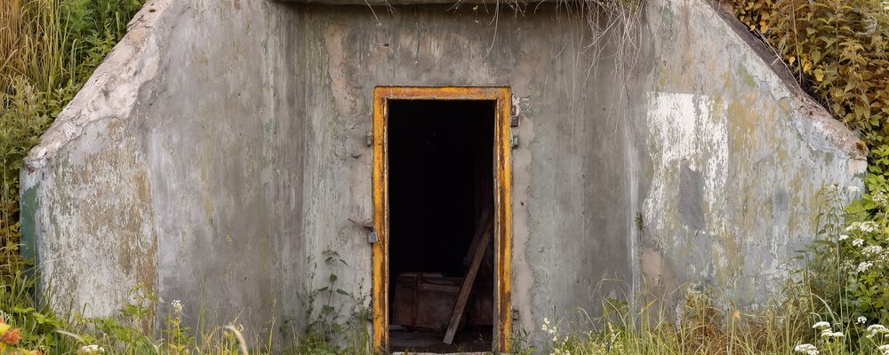 Build Your Own Survival Shelter