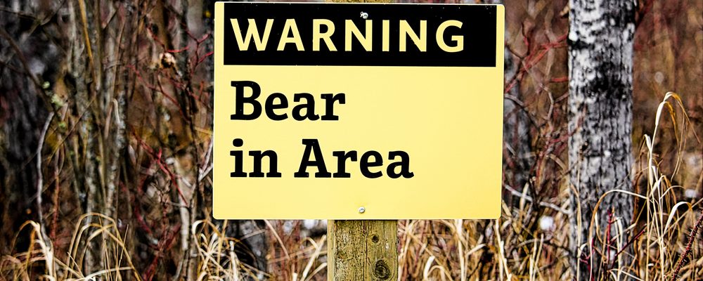 How to Prevent (and Survive) a Bear Attack