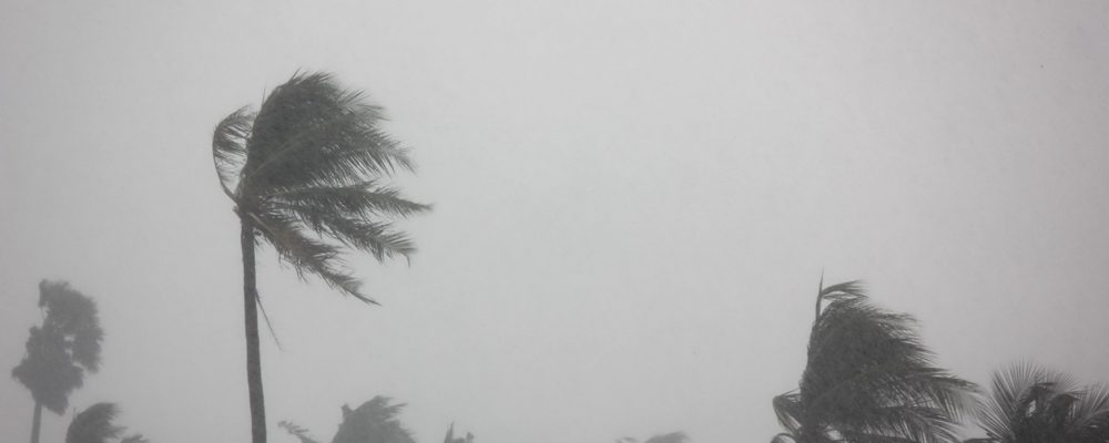 Three Hurricane Katrina Survival Lessons You Probably Missed