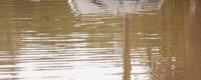 What to Do When the Water Is Rising