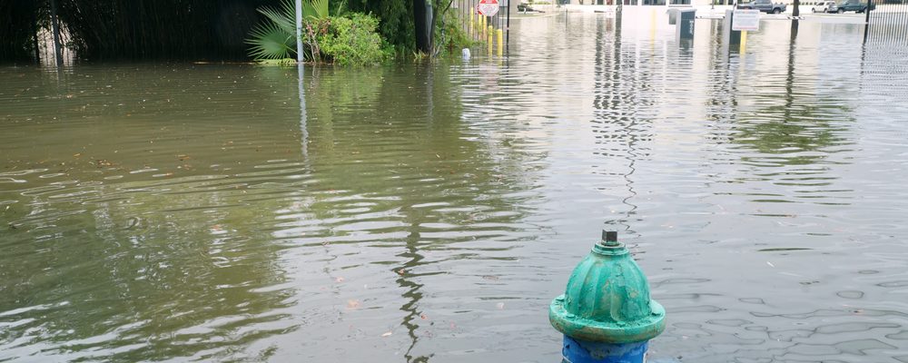 Hurricane Water Survival Checklist