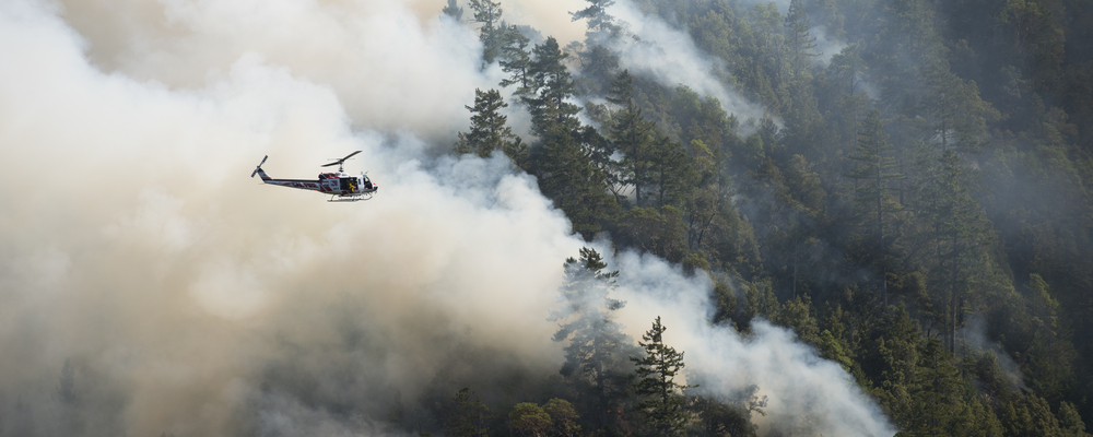 What Wildfires Are Doing to Our Respiratory Systems