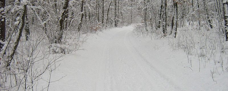 Whiteout Conditions