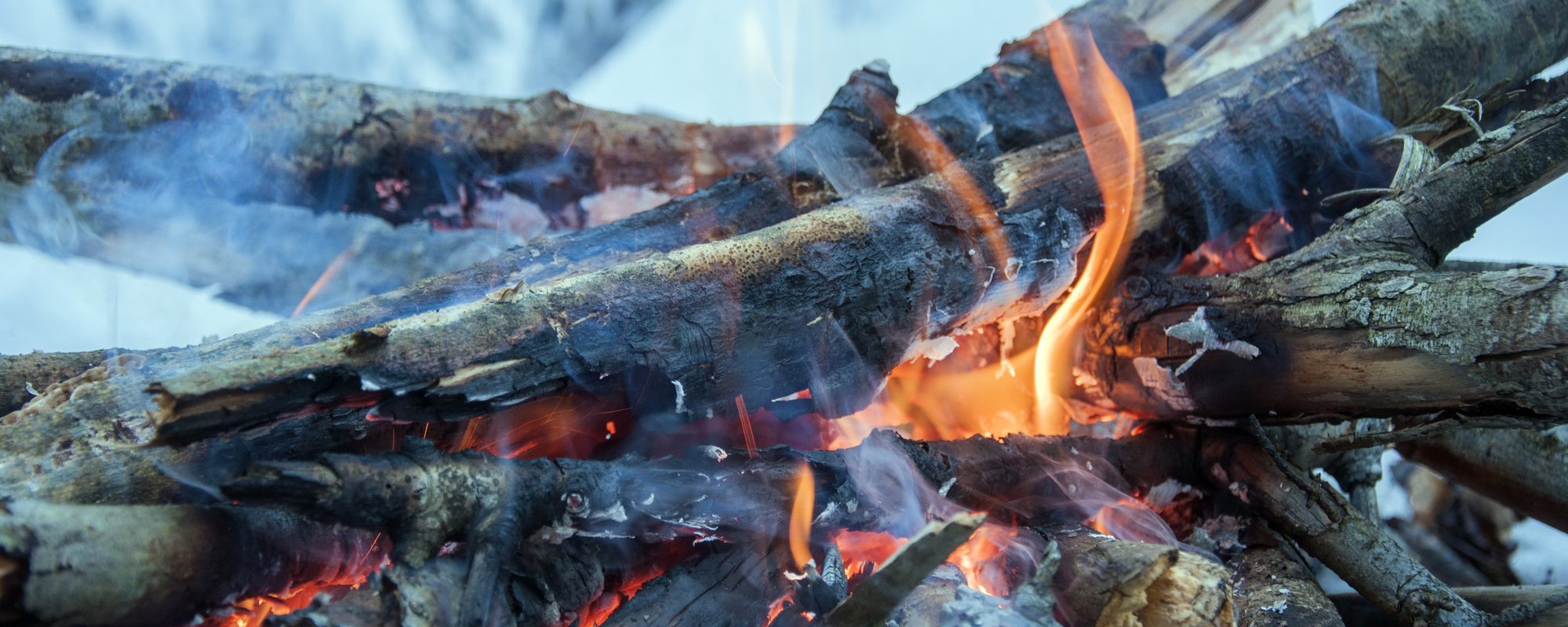Tree bark for the human, beef jerky for the dogs?