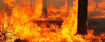 When the wildfire gives you 15 minutes to escape